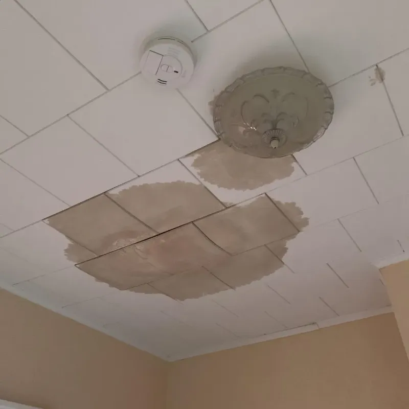 Ceiling Water Damage Repair in Keego Harbor, MI