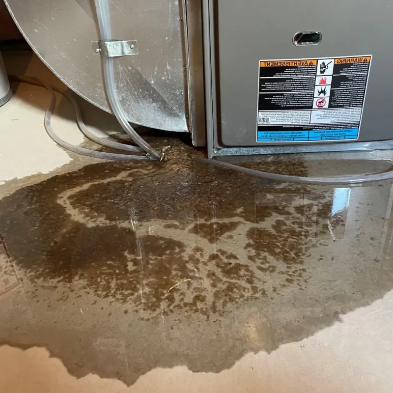 Pipe Burst and Leak Restoration in Keego Harbor, MI